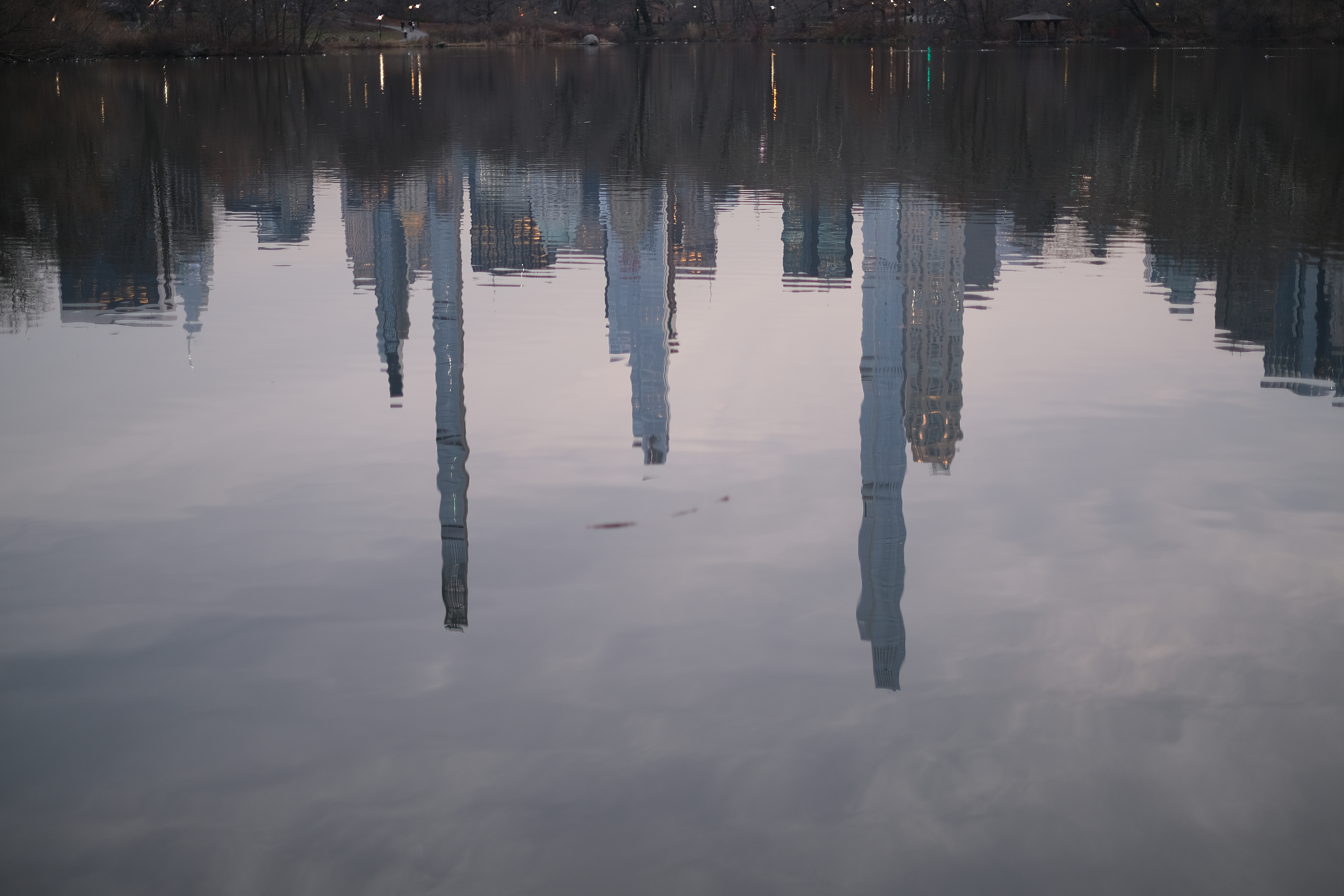 reflections in central park